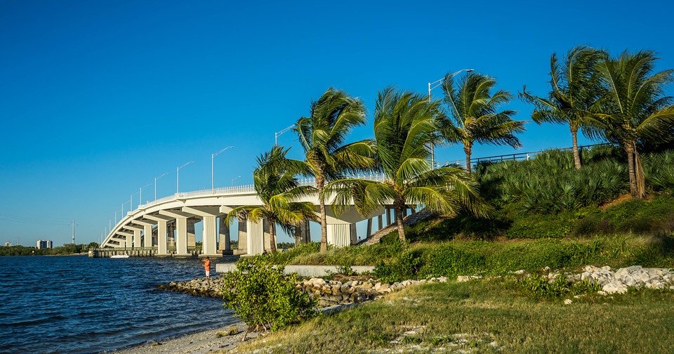 A bridge over the water with palm trees in the foreground.